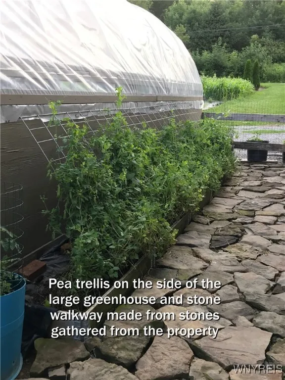 5877 Route 362, Wethersfield, New York 14024, Wethersfield, New York 14024, 5 Bedrooms Bedrooms, 11 Rooms Rooms,2 BathroomsBathrooms,Residential,Closed,5877 Route 362, Wethersfield, New York 14024,0,B1612935 5877 Route 362, Wethersfield, New York 14024, Wethersfield, New York 14024, 5 Bedrooms Bedrooms, 11 Rooms Rooms,2 BathroomsBathrooms,Residential,Closed,5877 Route 362, Wethersfield, New York 14024,0,B1612935