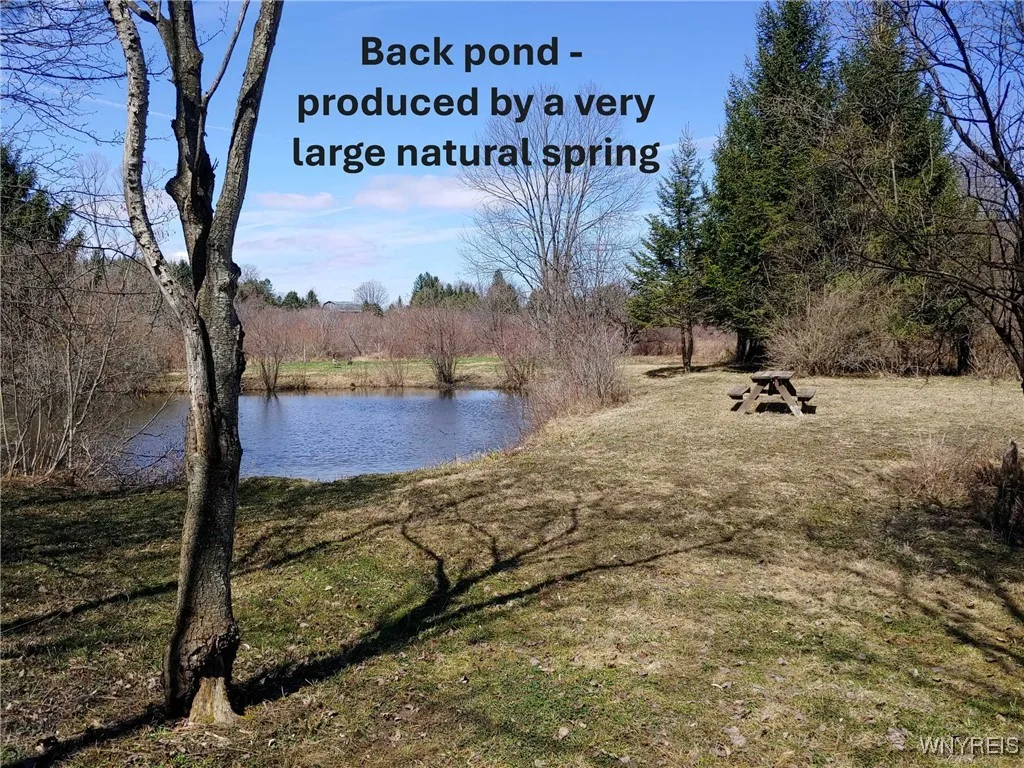 5877 Route 362, Wethersfield, New York 14024, Wethersfield, New York 14024, 5 Bedrooms Bedrooms, 11 Rooms Rooms,2 BathroomsBathrooms,Residential,Closed,5877 Route 362, Wethersfield, New York 14024,0,B1612935 5877 Route 362, Wethersfield, New York 14024, Wethersfield, New York 14024, 5 Bedrooms Bedrooms, 11 Rooms Rooms,2 BathroomsBathrooms,Residential,Closed,5877 Route 362, Wethersfield, New York 14024,0,B1612935