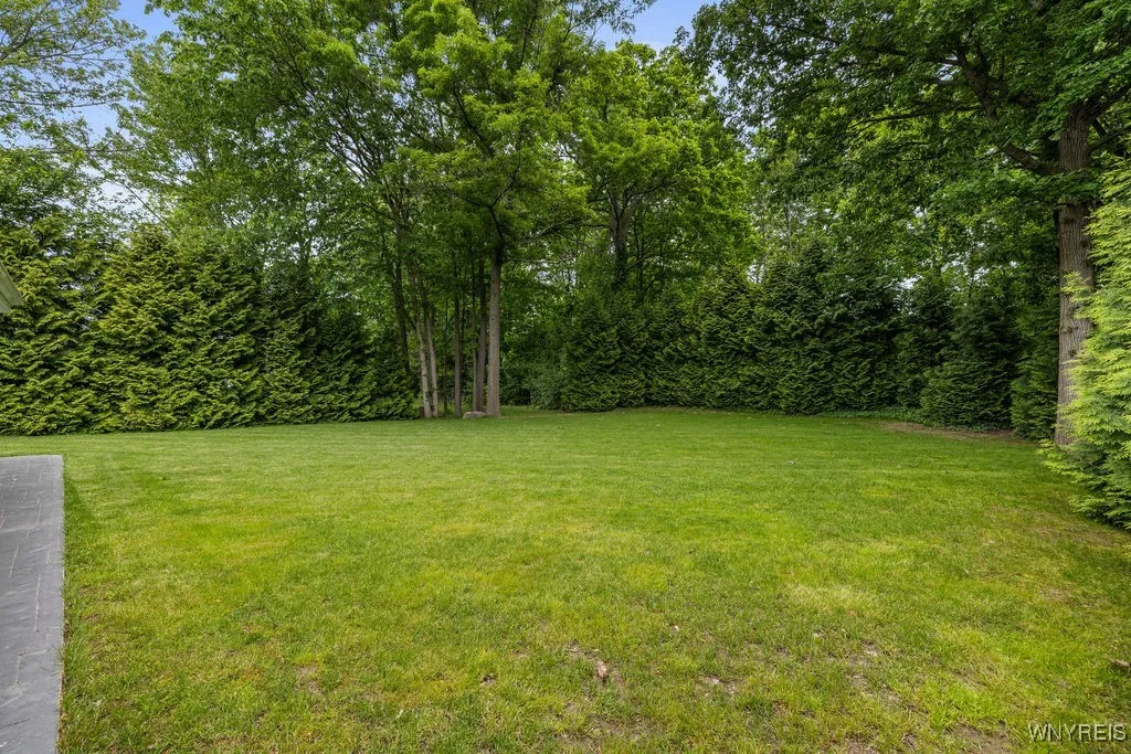 Wooded lot