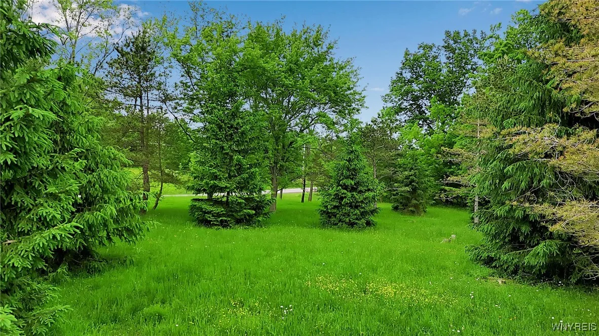 1160 Underhill Road, Aurora, New York 14052, Aurora, New York 14052, ,Land,For Sale,1160 Underhill Road, Aurora, New York 14052,B1613037