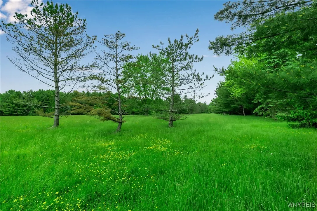 1160 Underhill Road, Aurora, New York 14052, Aurora, New York 14052, ,Land,For Sale,1160 Underhill Road, Aurora, New York 14052,B1613037