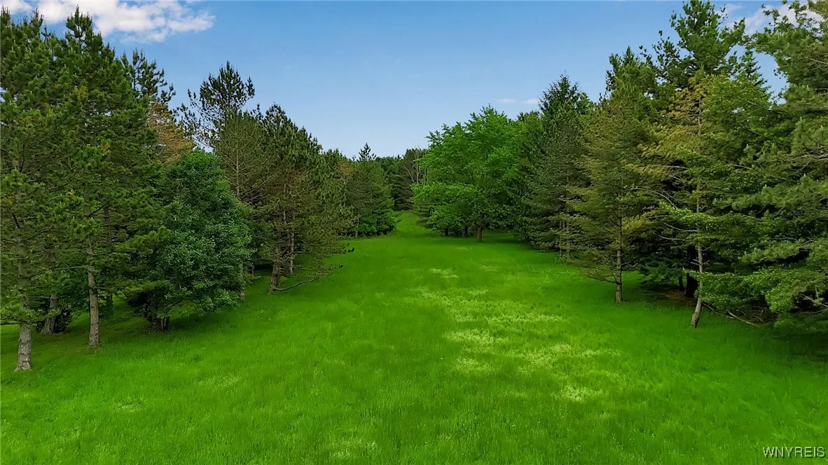1160 Underhill Road, Aurora, New York 14052, Aurora, New York 14052, ,Land,For Sale,1160 Underhill Road, Aurora, New York 14052,B1613037