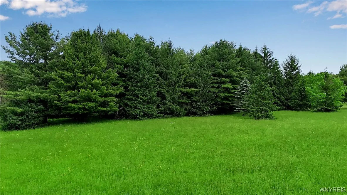 1160 Underhill Road, Aurora, New York 14052, Aurora, New York 14052, ,Land,For Sale,1160 Underhill Road, Aurora, New York 14052,B1613037