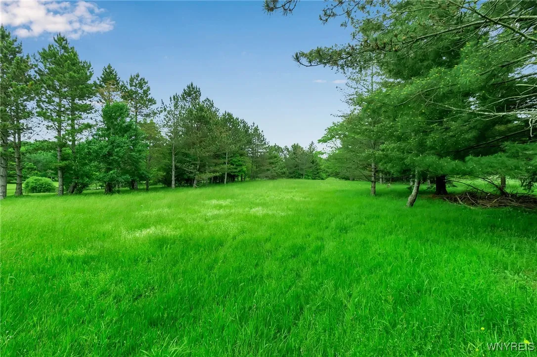 1160 Underhill Road, Aurora, New York 14052, Aurora, New York 14052, ,Land,For Sale,1160 Underhill Road, Aurora, New York 14052,B1613037