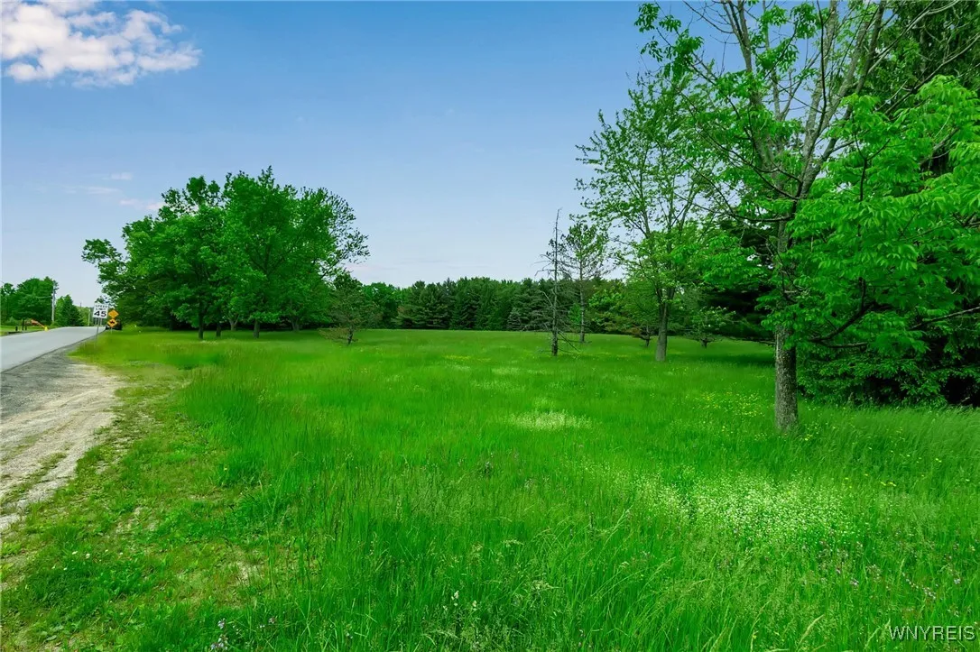 1160 Underhill Road, Aurora, New York 14052, Aurora, New York 14052, ,Land,For Sale,1160 Underhill Road, Aurora, New York 14052,B1613037