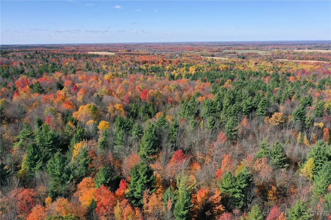 2765 State Highway 72, Hopkinton, New York 13676, Hopkinton, New York 13676, ,Land,For Sale,2765 State Highway 72, Hopkinton, New York 13676,0,S1609960