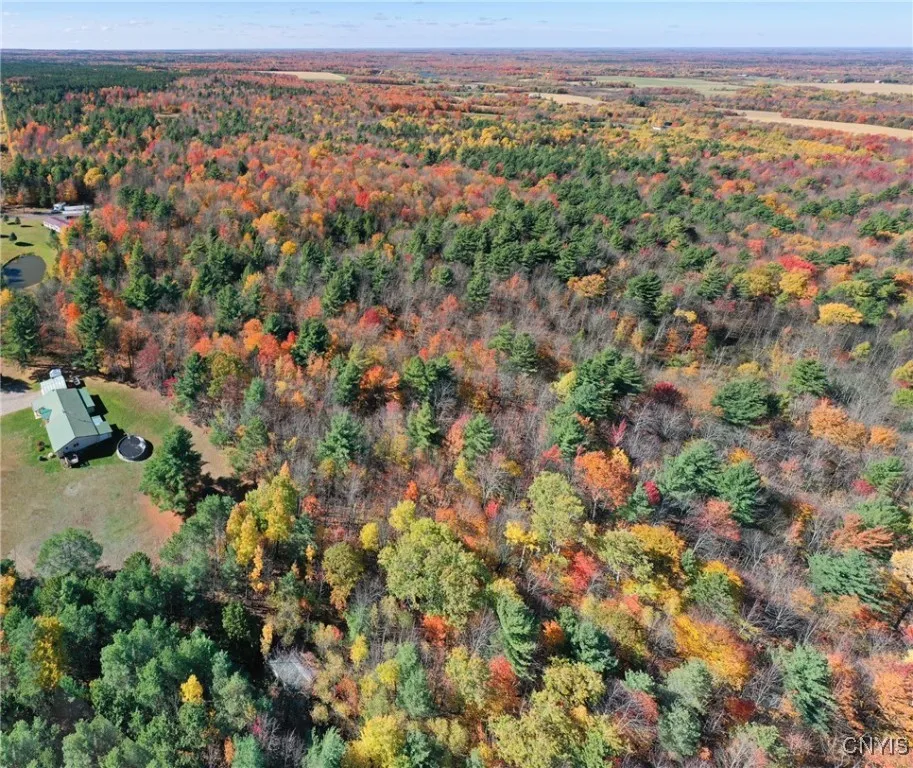 2765 State Highway 72, Hopkinton, New York 13676, Hopkinton, New York 13676, ,Land,For Sale,2765 State Highway 72, Hopkinton, New York 13676,0,S1609960