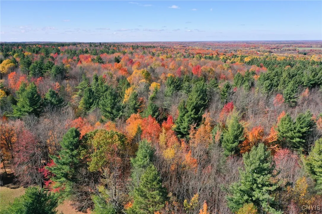 2765 State Highway 72, Hopkinton, New York 13676, Hopkinton, New York 13676, ,Land,For Sale,2765 State Highway 72, Hopkinton, New York 13676,0,S1609960