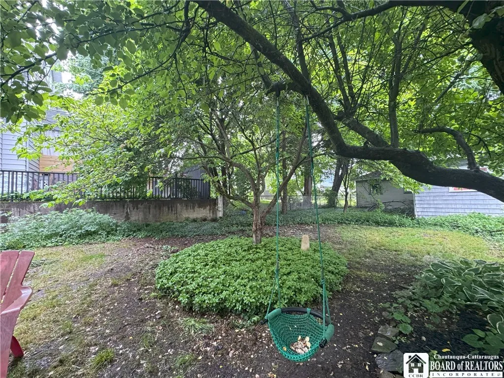 Back yard photo