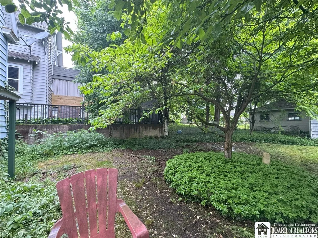 Back yard