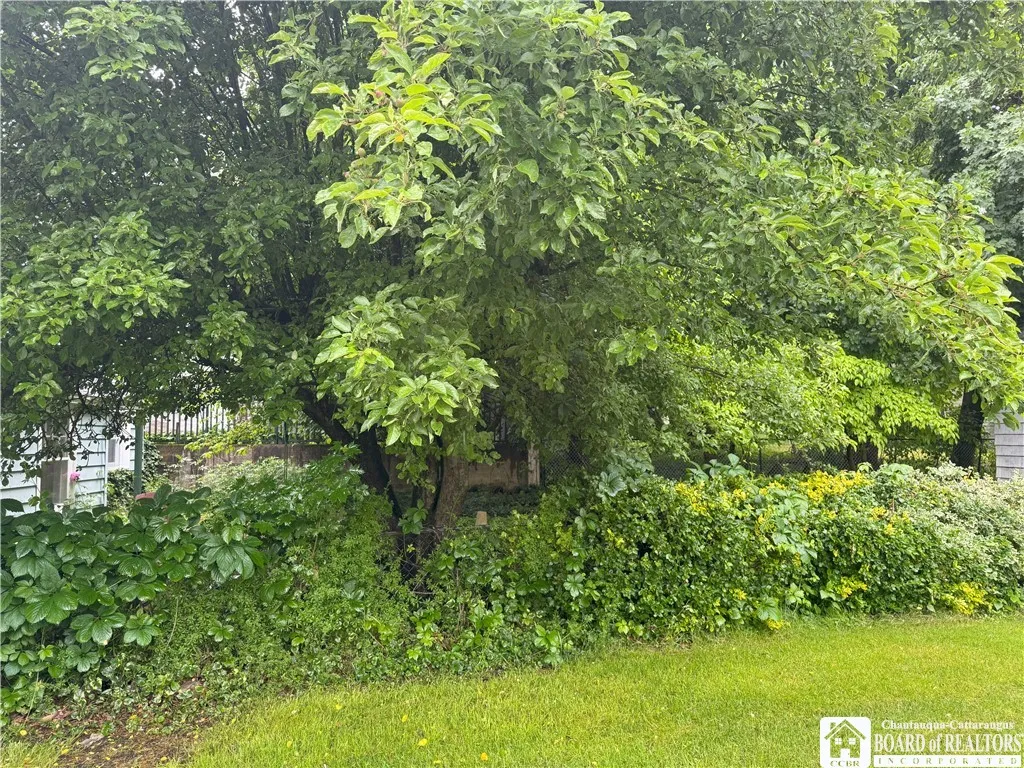Privacy back yard