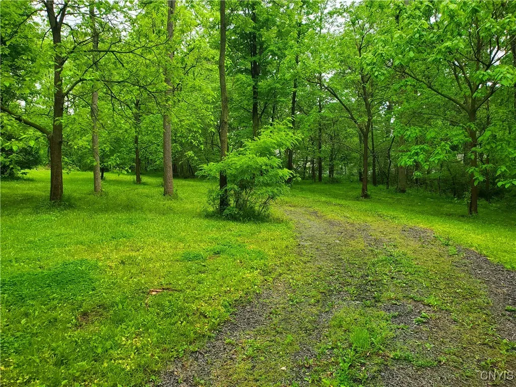 Chase Avenue, Springport, New York 13160, Springport, New York 13160, ,Land,Closed,Chase Avenue, Springport, New York 13160,0,S1613278