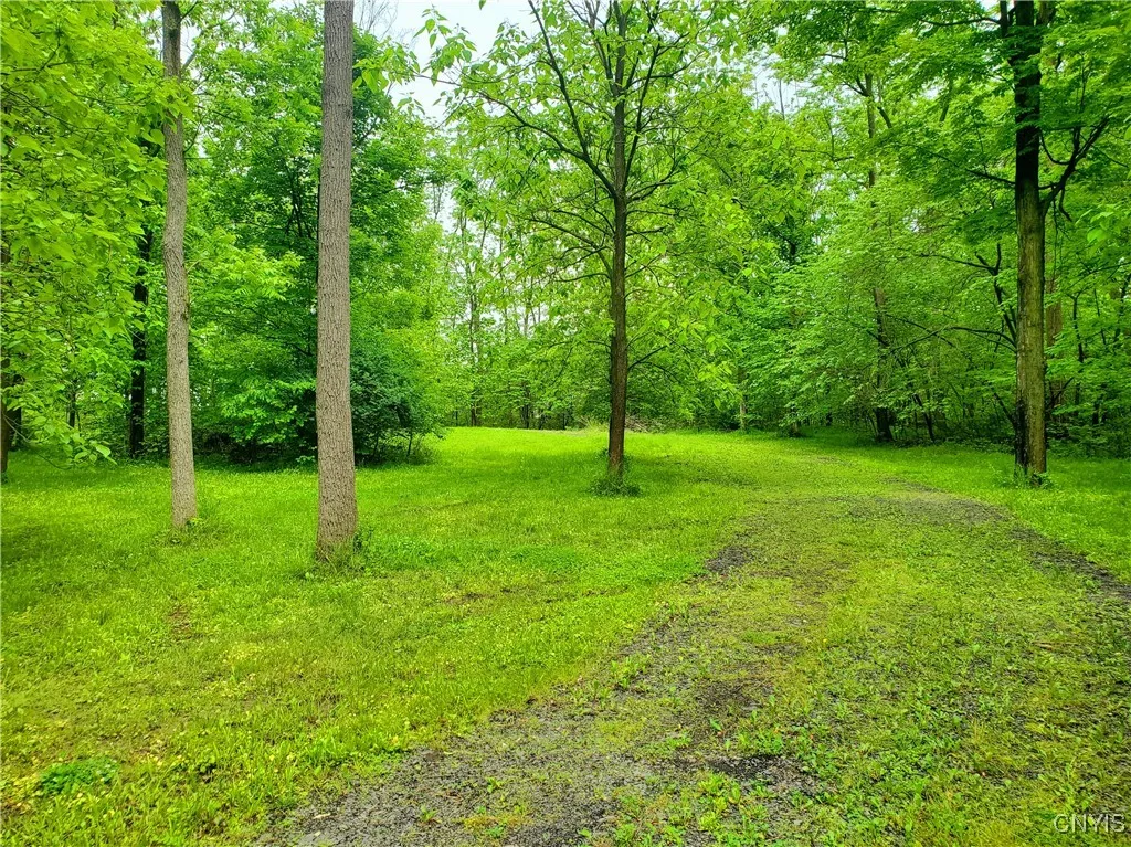 Chase Avenue, Springport, New York 13160, Springport, New York 13160, ,Land,Closed,Chase Avenue, Springport, New York 13160,0,S1613278