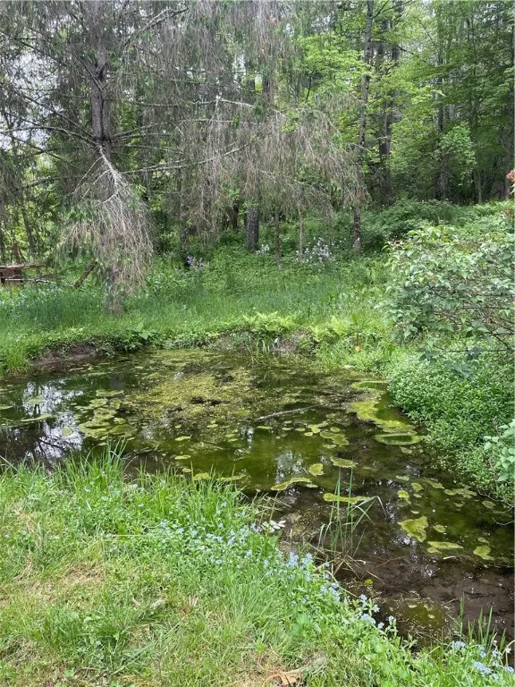 807 County Highway 11, Laurens, New York 13820, Laurens, New York 13820, 3 Bedrooms Bedrooms, 9 Rooms Rooms,1 BathroomBathrooms,Residential,For Sale,807 County Highway 11, Laurens, New York 13820,0,R1613199