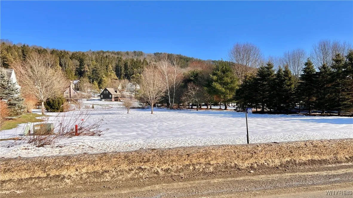 6546 Maples Road, Ellicottville, New York 14731, Ellicottville, New York 14731, ,Land,For Sale,6546 Maples Road, Ellicottville, New York 14731,0,B1613225