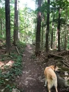 Three Falls Trail