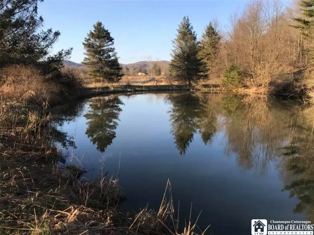 5757 Route 98, Great Valley, New York 14741, Great Valley, New York 14741, 3 Bedrooms Bedrooms, 8 Rooms Rooms,1 BathroomBathrooms,Residential,Closed,5757 Route 98, Great Valley, New York 14741,0,R1613572