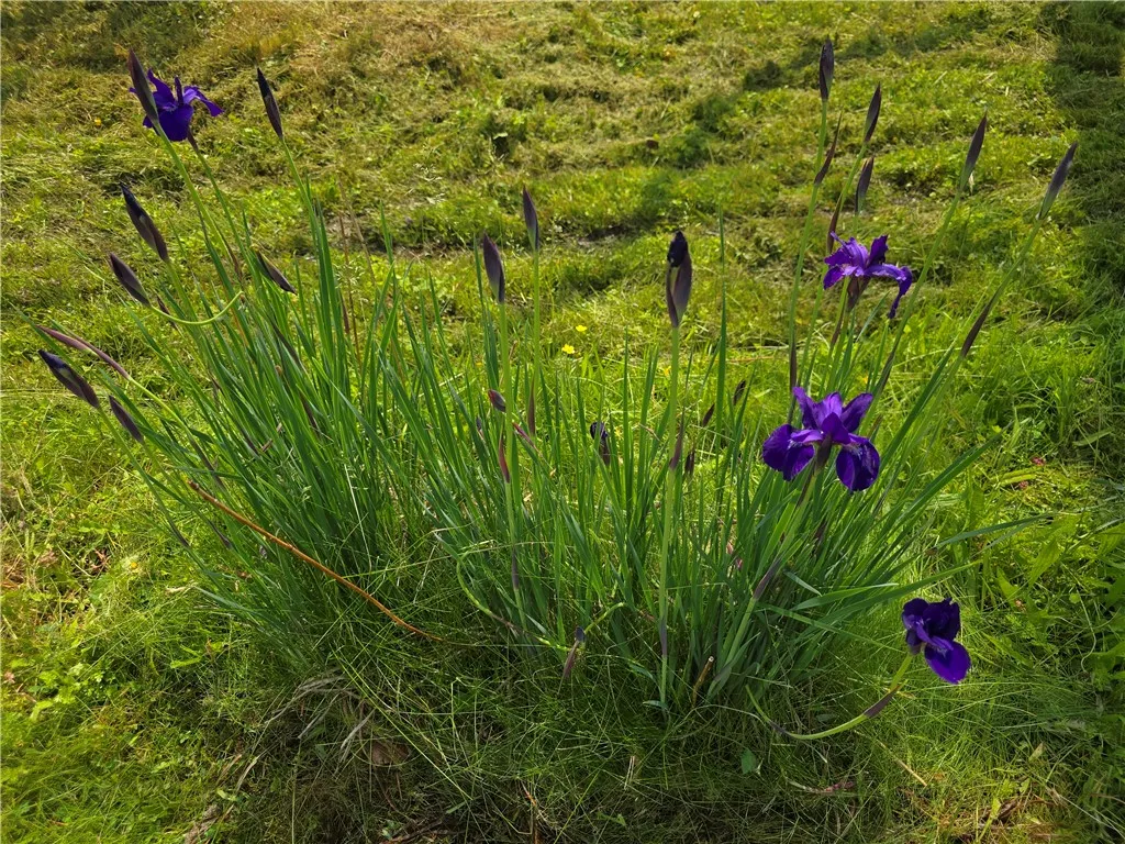 2 Kathleen Street, Oxford, New York 13830, Oxford, New York 13830, 2 Bedrooms Bedrooms, 5 Rooms Rooms,1 BathroomBathrooms,Residential,For Sale,2 Kathleen Street, Oxford, New York 13830,0,R1614069