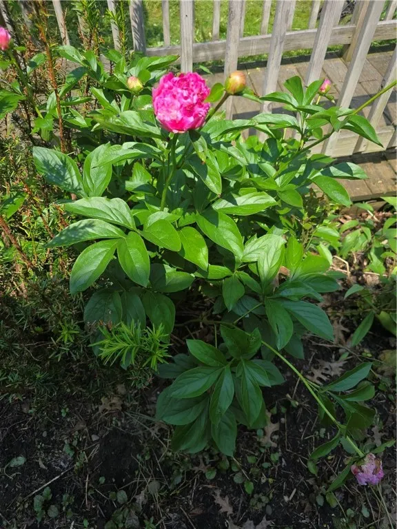 2 Kathleen Street, Oxford, New York 13830, Oxford, New York 13830, 2 Bedrooms Bedrooms, 5 Rooms Rooms,1 BathroomBathrooms,Residential,For Sale,2 Kathleen Street, Oxford, New York 13830,0,R1614069