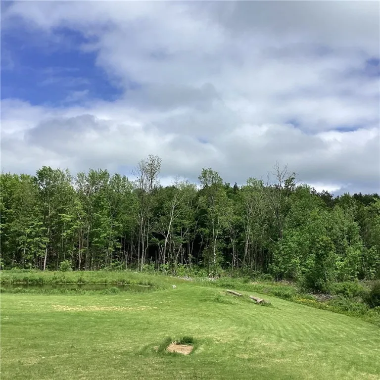 117 Wrench Lane, Coventry, New York 13733, Coventry, New York 13733, 3 Bedrooms Bedrooms, 5 Rooms Rooms,1 BathroomBathrooms,Residential,For Sale,117 Wrench Lane, Coventry, New York 13733,0,R1613747