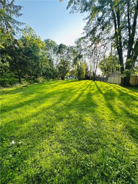 View from the 330 foot deep backyard looking at the house.