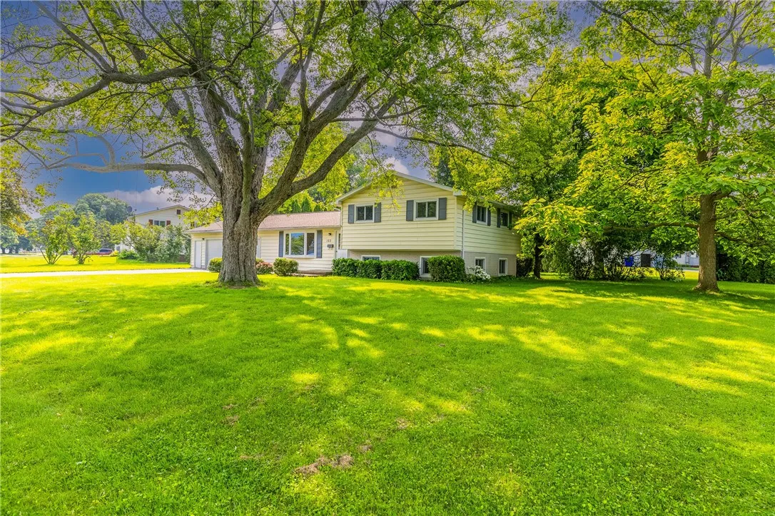 Mature treed lot!