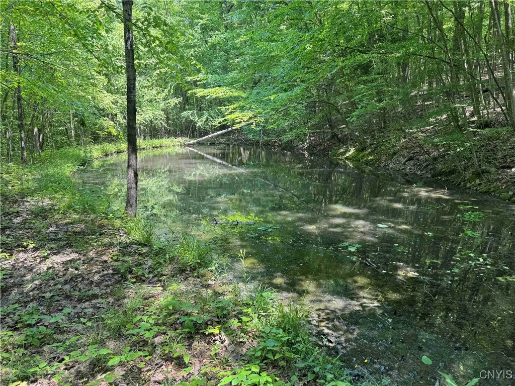 Regan Road, Hinsdale, New York 14727, Hinsdale, New York 14727, ,Land,Closed,Regan Road, Hinsdale, New York 14727,0,S1614536