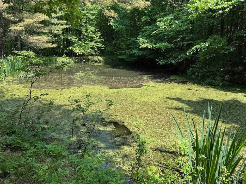 Regan Road, Hinsdale, New York 14727, Hinsdale, New York 14727, ,Land,Closed,Regan Road, Hinsdale, New York 14727,0,S1614536