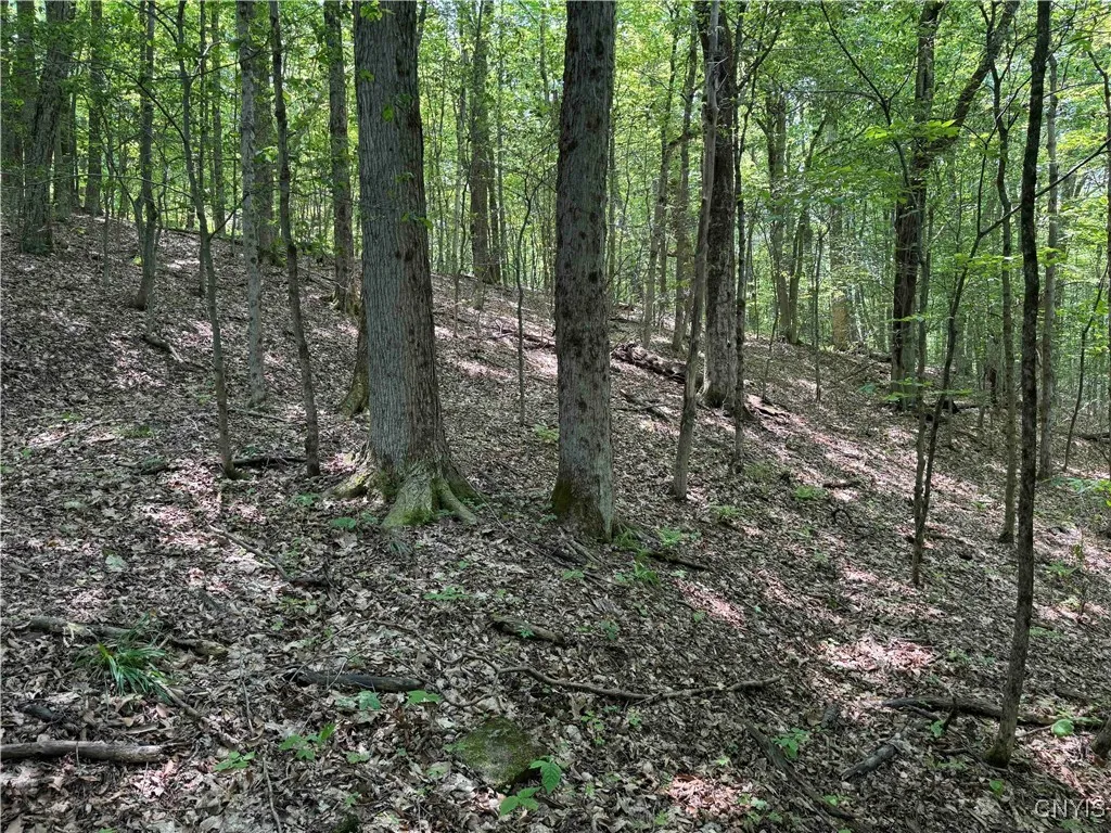 Regan Road, Hinsdale, New York 14727, Hinsdale, New York 14727, ,Land,Closed,Regan Road, Hinsdale, New York 14727,0,S1614536