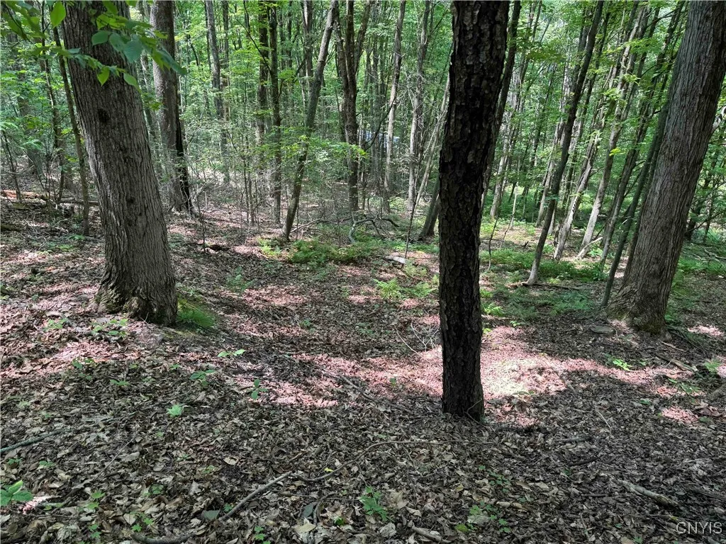 Regan Road, Hinsdale, New York 14727, Hinsdale, New York 14727, ,Land,Closed,Regan Road, Hinsdale, New York 14727,0,S1614536