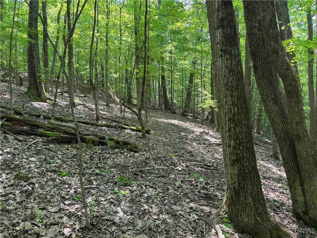 Regan Road, Hinsdale, New York 14727, Hinsdale, New York 14727, ,Land,Closed,Regan Road, Hinsdale, New York 14727,0,S1614536