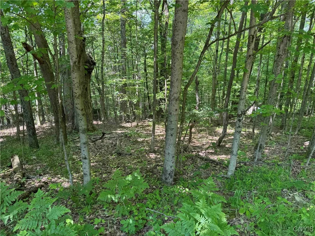 Regan Road, Hinsdale, New York 14727, Hinsdale, New York 14727, ,Land,Closed,Regan Road, Hinsdale, New York 14727,0,S1614536