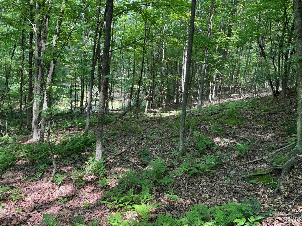 Regan Road, Hinsdale, New York 14727, Hinsdale, New York 14727, ,Land,Closed,Regan Road, Hinsdale, New York 14727,0,S1614536