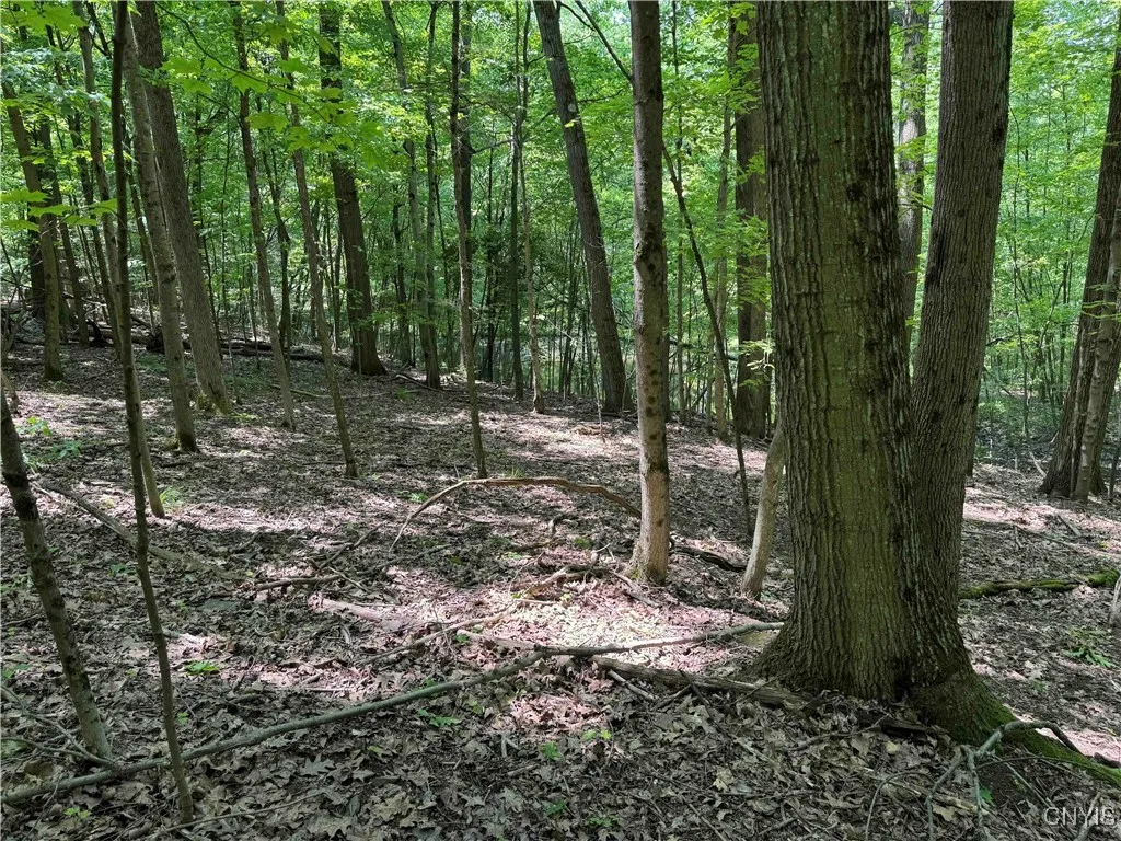 Regan Road, Hinsdale, New York 14727, Hinsdale, New York 14727, ,Land,Closed,Regan Road, Hinsdale, New York 14727,0,S1614536