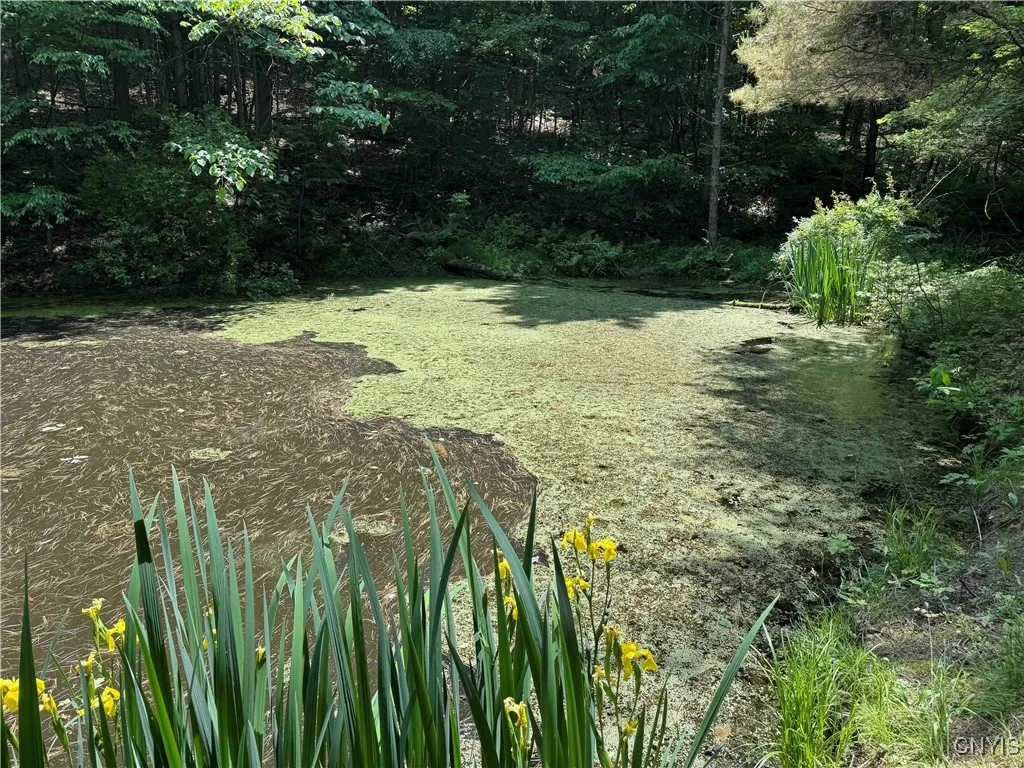 Regan Road, Hinsdale, New York 14727, Hinsdale, New York 14727, ,Land,Closed,Regan Road, Hinsdale, New York 14727,0,S1614536