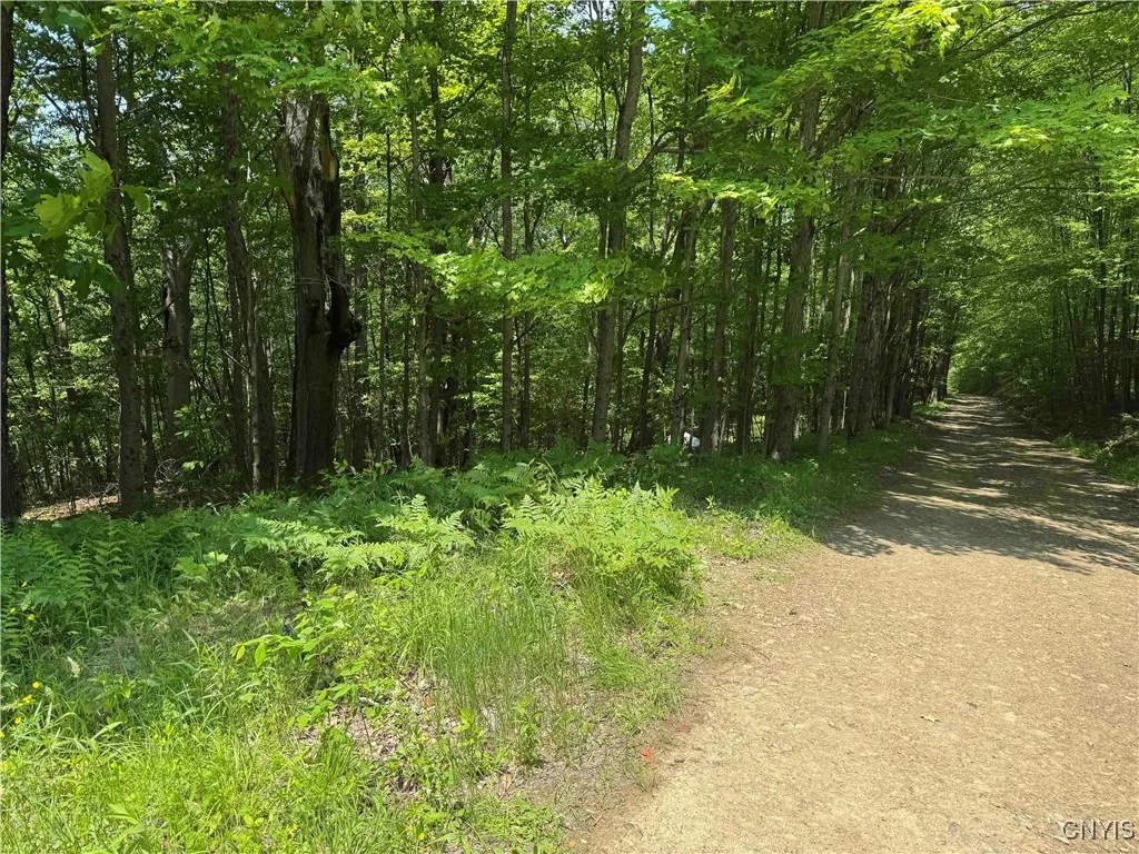 Regan Road, Hinsdale, New York 14727, Hinsdale, New York 14727, ,Land,Closed,Regan Road, Hinsdale, New York 14727,0,S1614536