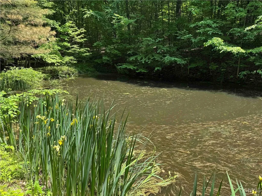 Regan Road, Hinsdale, New York 14727, Hinsdale, New York 14727, ,Land,Closed,Regan Road, Hinsdale, New York 14727,0,S1614536