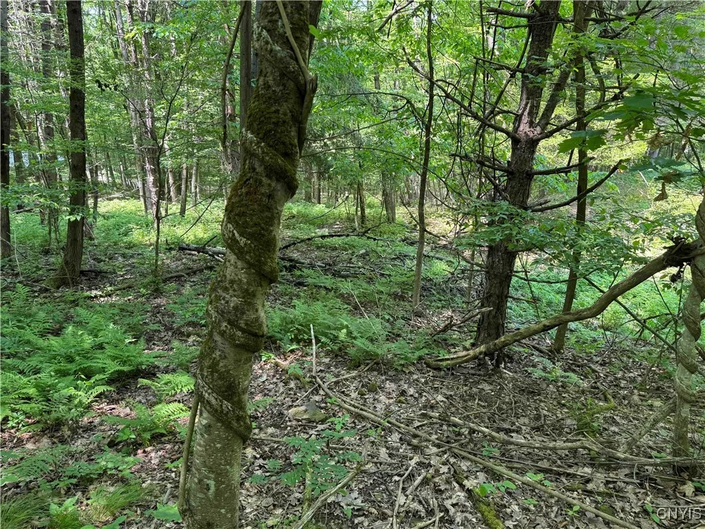 Regan Road, Hinsdale, New York 14727, Hinsdale, New York 14727, ,Land,Closed,Regan Road, Hinsdale, New York 14727,0,S1614536