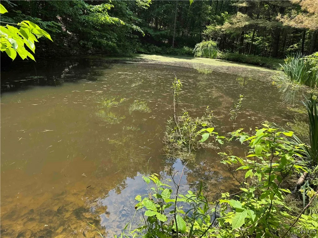 Regan Road, Hinsdale, New York 14727, Hinsdale, New York 14727, ,Land,Closed,Regan Road, Hinsdale, New York 14727,0,S1614536