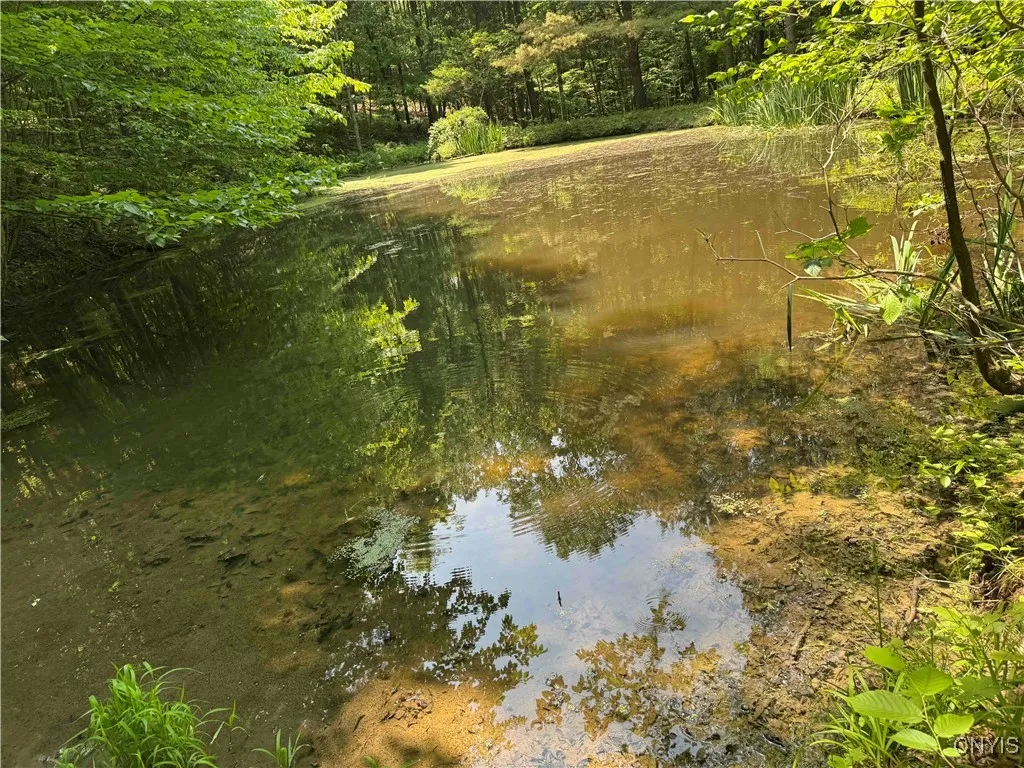 Regan Road, Hinsdale, New York 14727, Hinsdale, New York 14727, ,Land,Closed,Regan Road, Hinsdale, New York 14727,0,S1614536