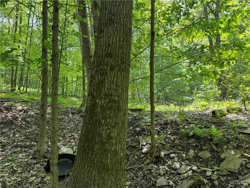 Regan Road, Hinsdale, New York 14727, Hinsdale, New York 14727, ,Land,Closed,Regan Road, Hinsdale, New York 14727,0,S1614536