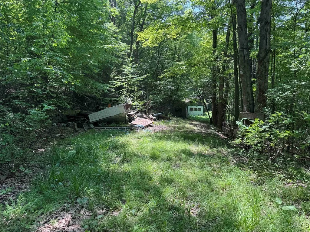 Regan Road, Hinsdale, New York 14727, Hinsdale, New York 14727, ,Land,Closed,Regan Road, Hinsdale, New York 14727,0,S1614536