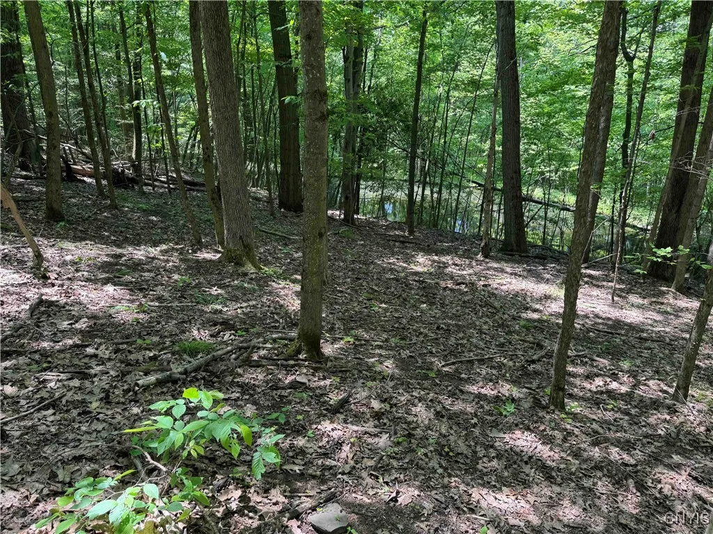 Regan Road, Hinsdale, New York 14727, Hinsdale, New York 14727, ,Land,Closed,Regan Road, Hinsdale, New York 14727,0,S1614536