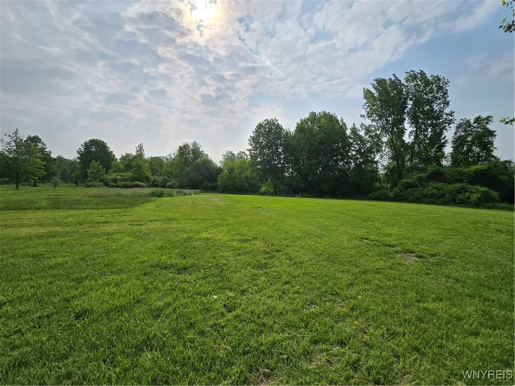 beautiful large backyard