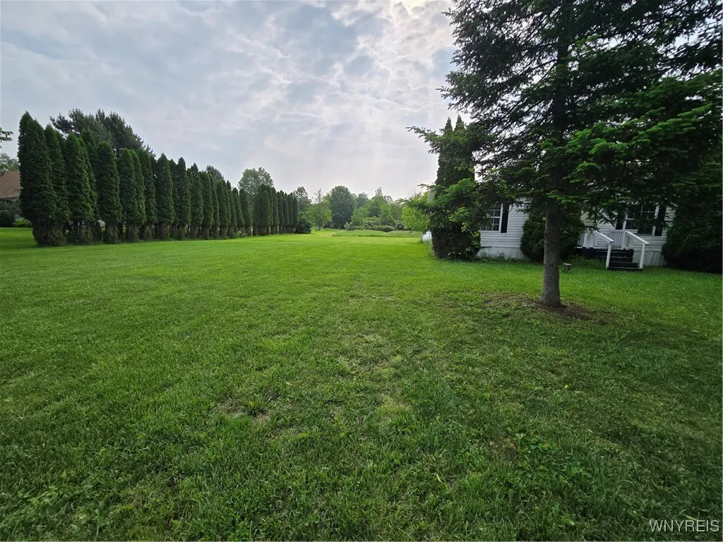 side view yard