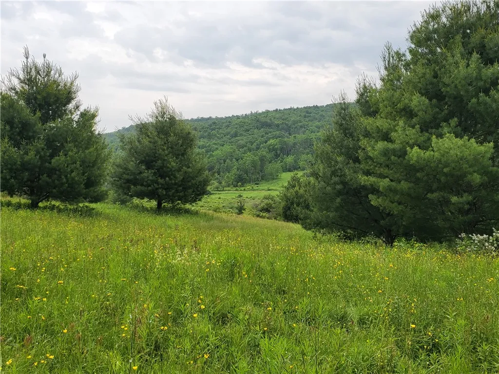 1059 County Highway 4, Butternuts, New York 13849, Butternuts, New York 13849, ,Land,Closed,1059 County Highway 4, Butternuts, New York 13849,R1614312