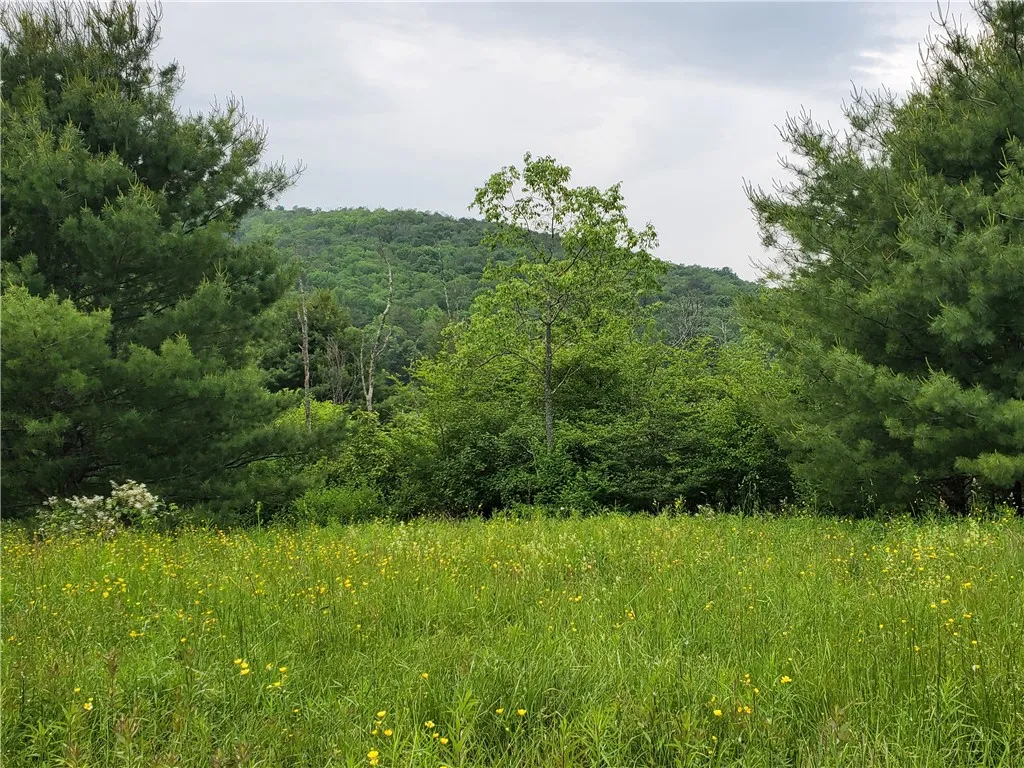 1059 County Highway 4, Butternuts, New York 13849, Butternuts, New York 13849, ,Land,Closed,1059 County Highway 4, Butternuts, New York 13849,R1614312