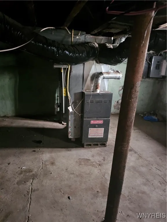 lower Basement