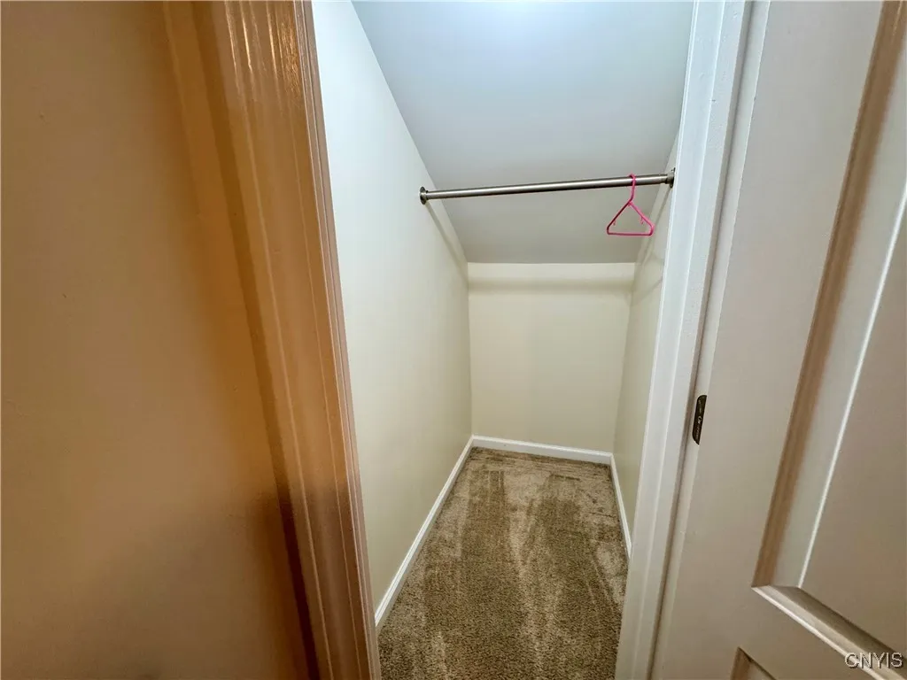 Closet in basement