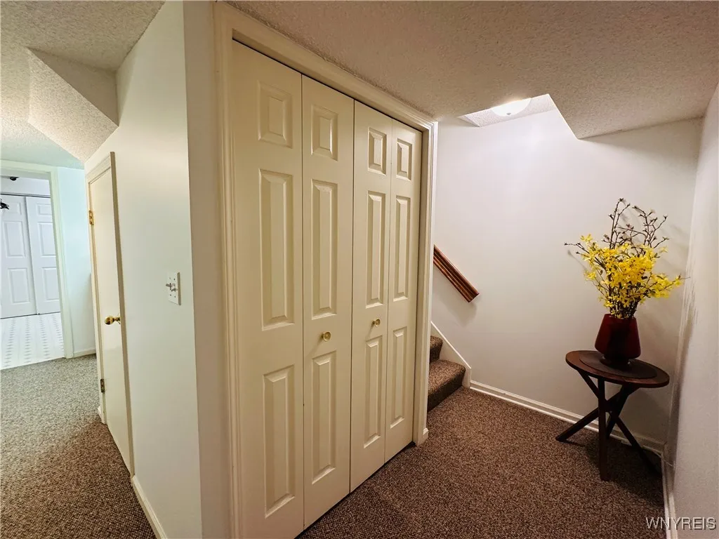 Lower level offers a lot of storage